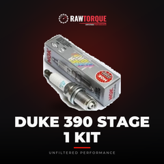 Duke 390 Stage 1 Kit - Rawtorque