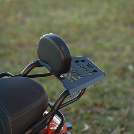 Moto Torque TVS Ronin back carrier 3mm mild steel luggage rack