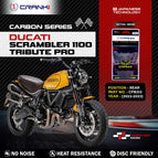 Carbon / Rear (2022-2023)