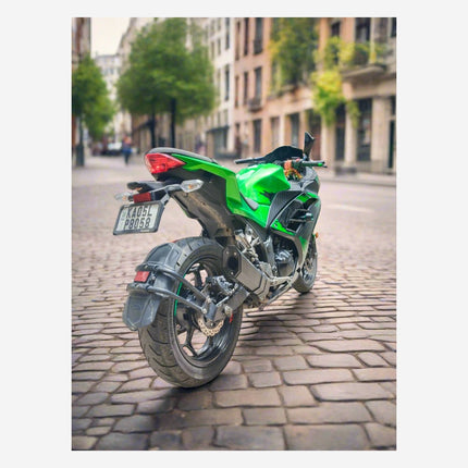 Kawasaki Ninja 250R, 300 and 400 with Barrel Rogue performance exhaust