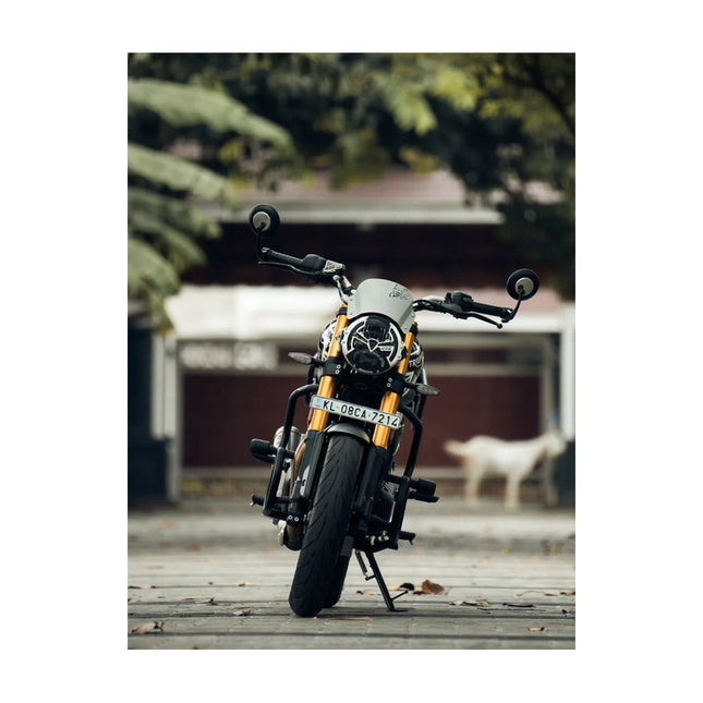 triumph speed 400 thanos crash rod